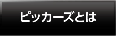 ピッカーズとは