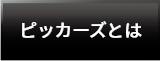 ピッカーズとは